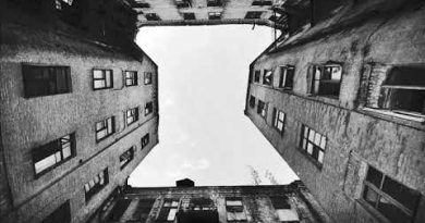 Триагрутрика - Белокаменная