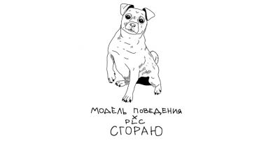 Модель поведения, PLC - Сгораю
