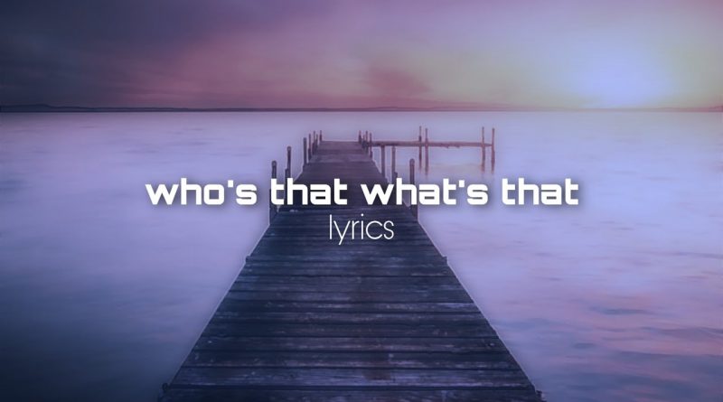 Niko B - Who's That What's That