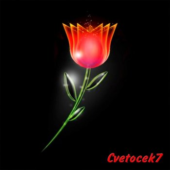 Cvetocek7 - Моя душа