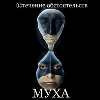 Муха - ©течение обстоятельств