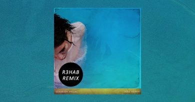 R3HAB, Nina Nesbitt - Family Values