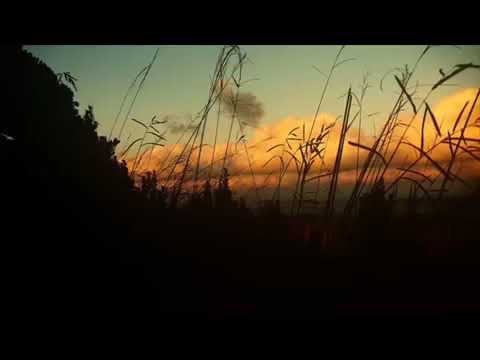Gorky Park - California Promises