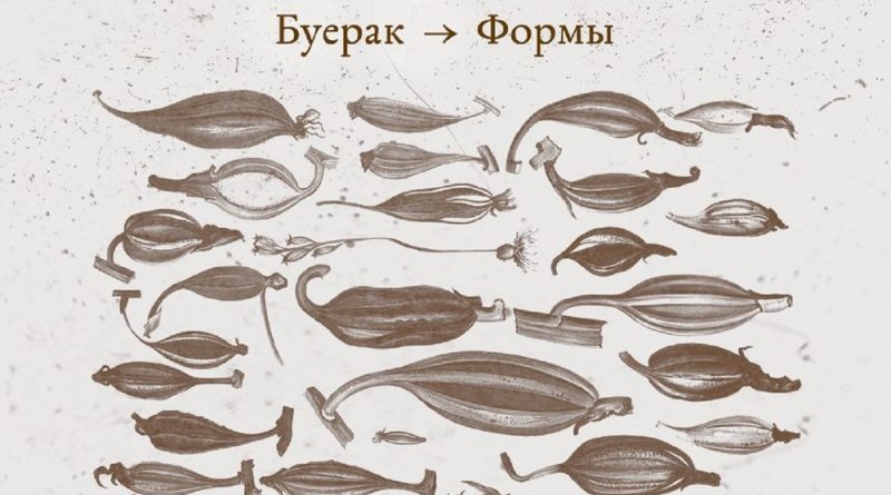 Буерак - Формы