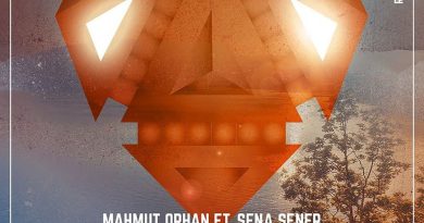 Mahmut Orhan, Sena Sener - Feel feat. Sena Sener