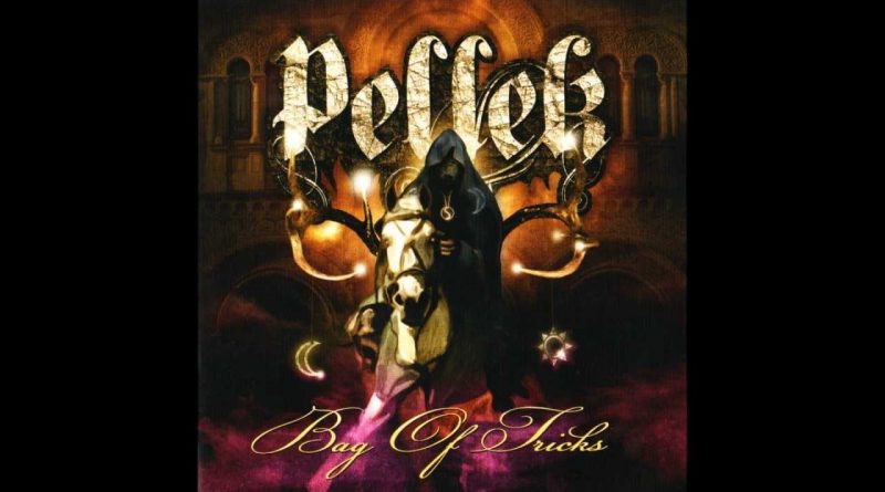 Pellek - Reason and Psychosis