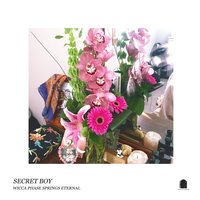 Wicca Phase Springs Eternal - Secret Boy