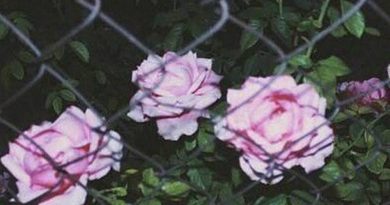 Death Plus, Lil Peep - Crystals