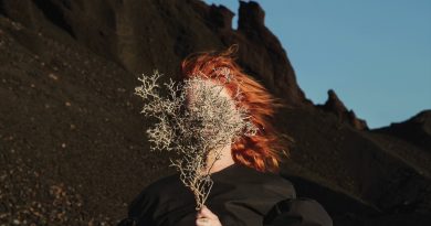 Goldfrapp - Become the One