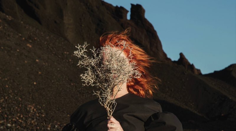 Goldfrapp - Become the One
