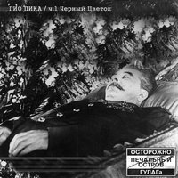 Гио Пика — Буйно голова 3 (БГ3)