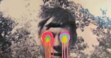 The Flaming Lips - You N Me Sellin' Weed
