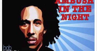 Bob Marley - Ambush In The Night