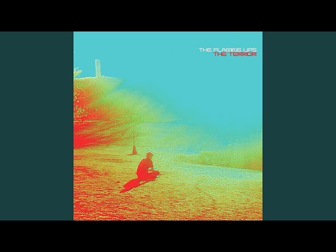 The Flaming Lips - You Lust