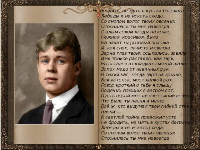Ефимыч - Не бродить, не мять в кустах багряных