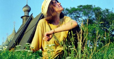 Елена Фролова - Летел голубь