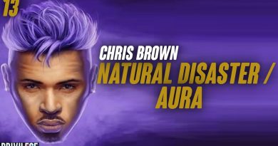 Chris Brown - Natural Disaster / Aura