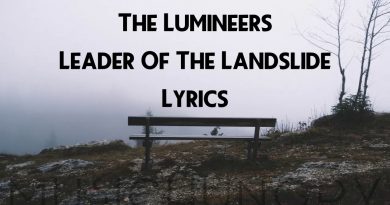 The Lumineers - Leader Of The Landslide
