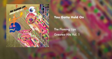 The Flaming Lips - You Gotta Hold On