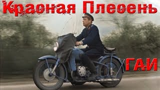Красная Плесень