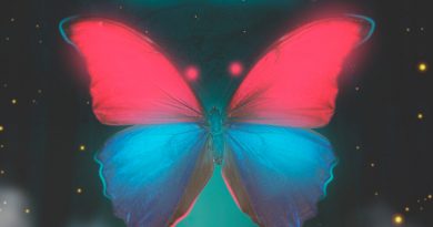 Денис Океан, NzT - Butterfly