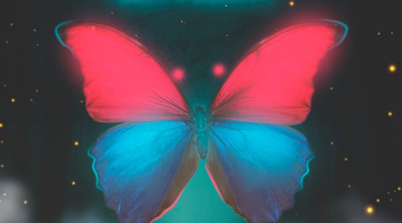 Денис Океан, NzT - Butterfly