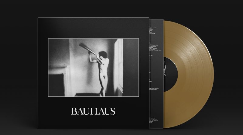 Bauhaus - In The Flat Field
