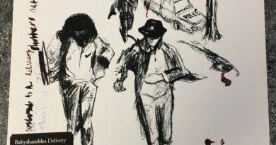 Babyshambles - In Love With A Feeling