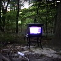 Bones - Disgrace