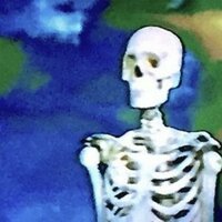 Bones - Importing