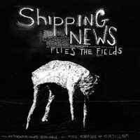Shipping News - Morays or Demon