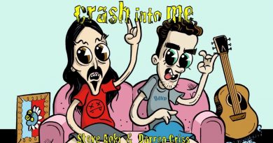Steve Aoki, Darren Criss - Crash Into Me