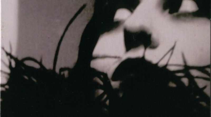 Parov Stelar - Autumn Beasts