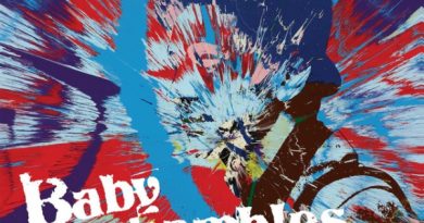Babyshambles - Fall From Grace