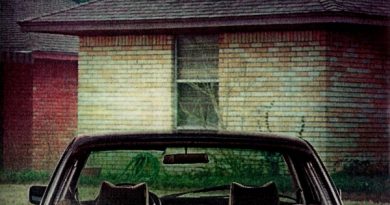 Arcade Fire - The Suburbs (Continued)