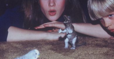 Big Thief - Interstate