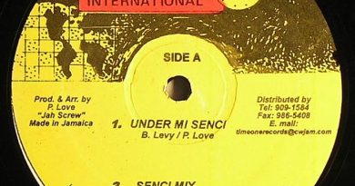 Barrington Levy - Under Me Sensi