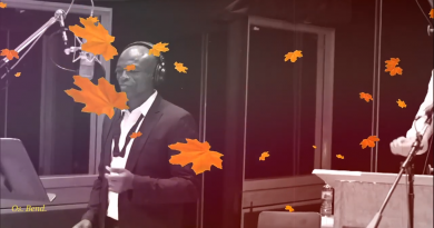 Seal - Autumn Leaves