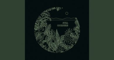 Still Corners - Night Walk