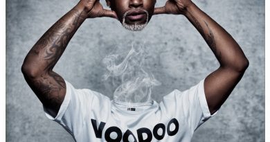 Willy William - Voodoo Song