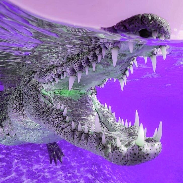 xxxmanera - Cursed