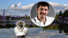 Аркадий Кобяков - Лебеди