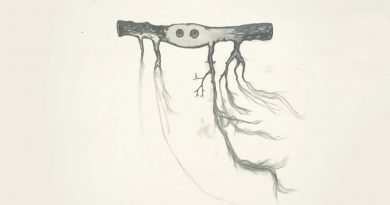 Jose Gonzalez - Cycling Trivialities