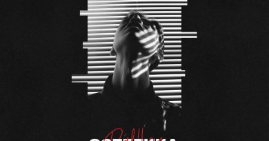 Ralfkon – Эстетика