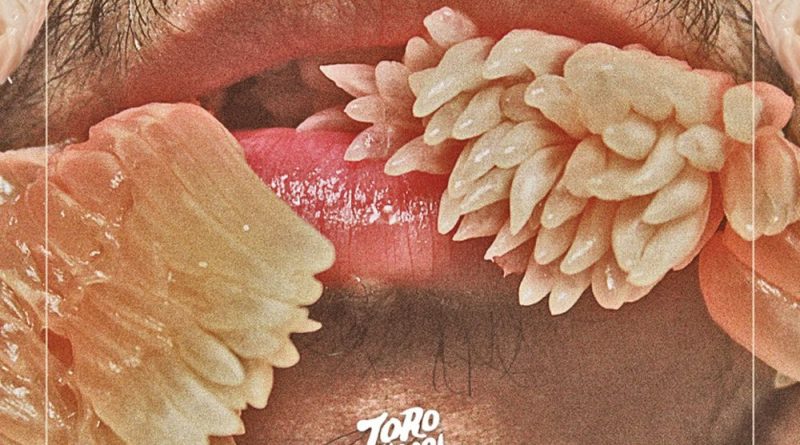 Toro Y Moi - Still Sound