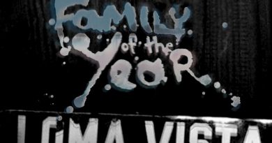 Family Of The Year - In The End