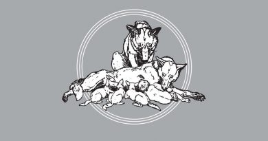 Bad Company - Run With The Pack