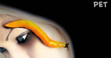 A Perfect Circle - The Package