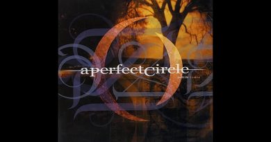 A Perfect Circle - Judith