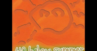 40 Below Summer - Suck It Up